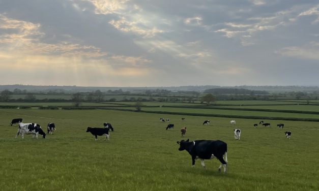 Grazing 2023