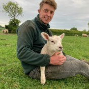 Tom and the lamb